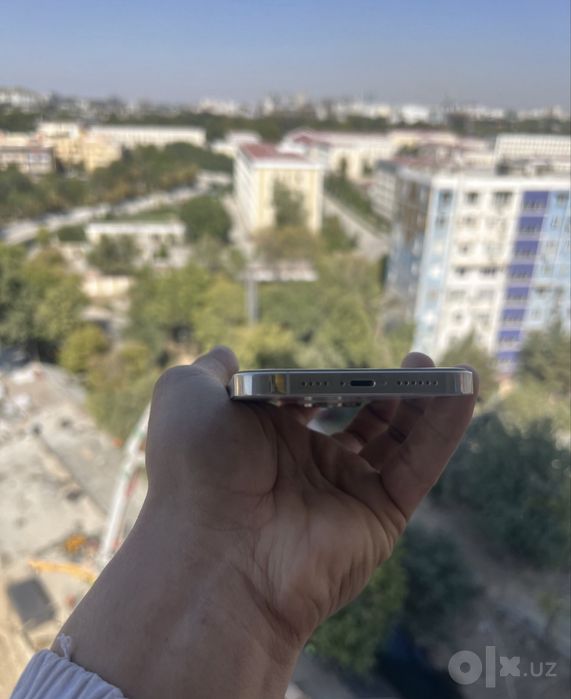 Iphone 12 Pro Max 512 Gb