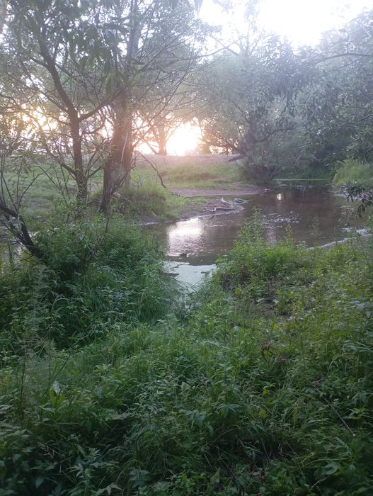 Продаю дом, в пригороде Астаны