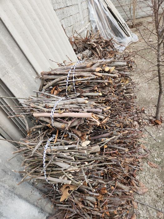 Утин вевали дарахтники