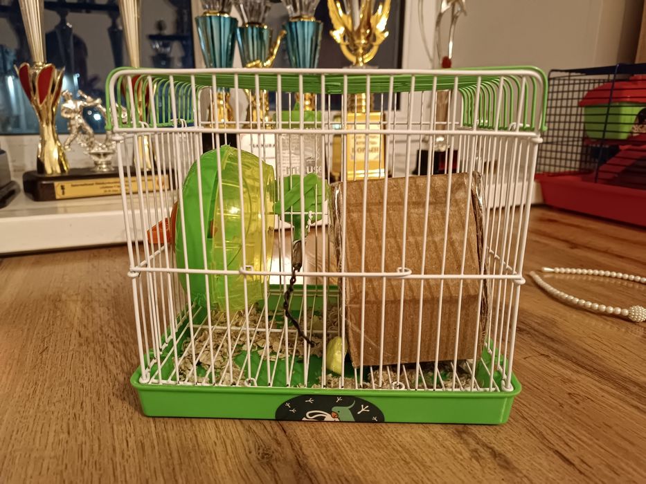 Продам двух Хомяков