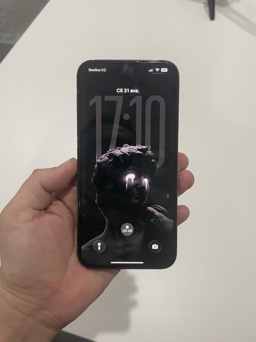 Iphone 13 pro max 128