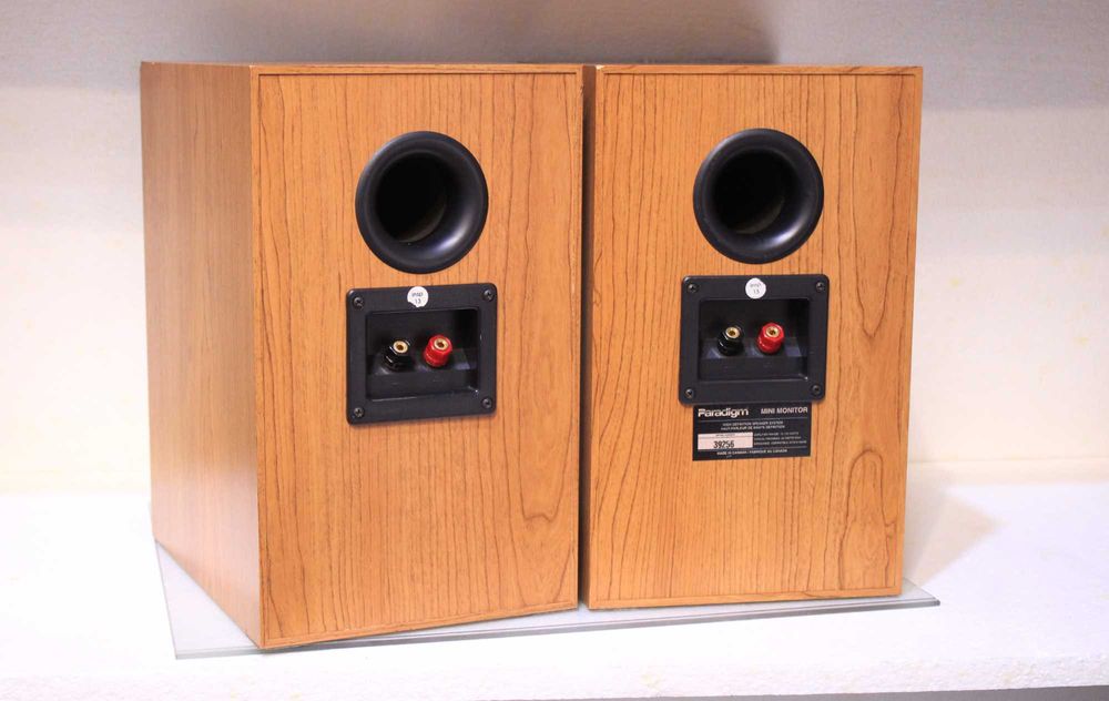 Boxe raft Paradigm Mini Monitor V1.