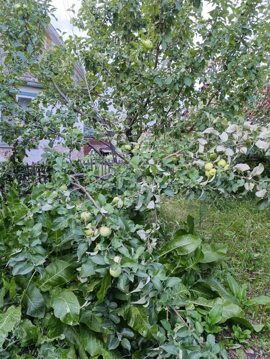 Продаётся дача на федоровке