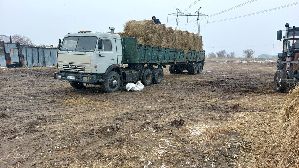 Продам сено в тюках и рулонах