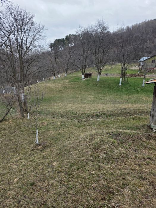 Case plus teren 3750m2