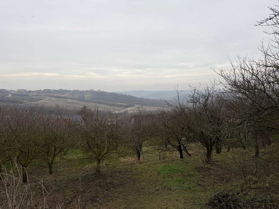 Teren intravilan de vanzare Saldabagiu de munte 890mp