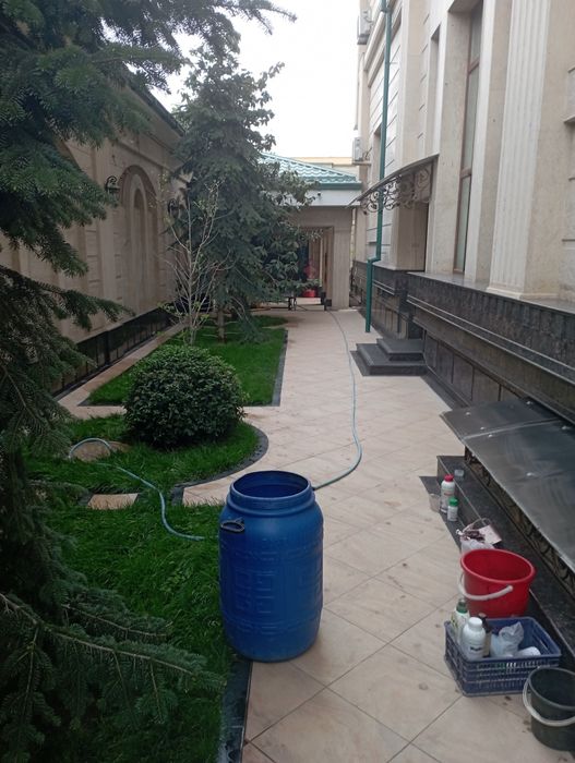 Archa dekaratif ekish dorilash