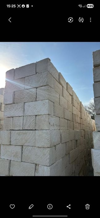 Ракушеблок ракушка