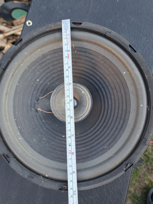 Difuzoare 10 inch  akai X10