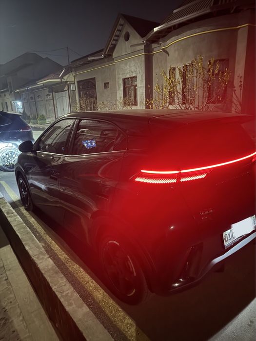 Bud seagull Черный