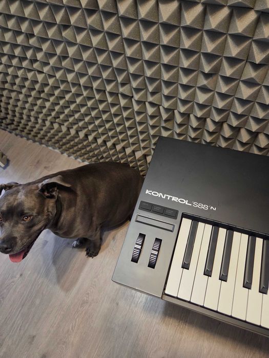 Native Instruments Kontrol S88 MK3