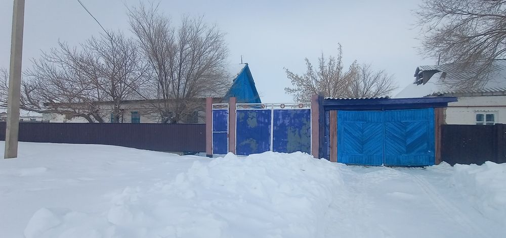 Богетсай ауылында Уй сатылады