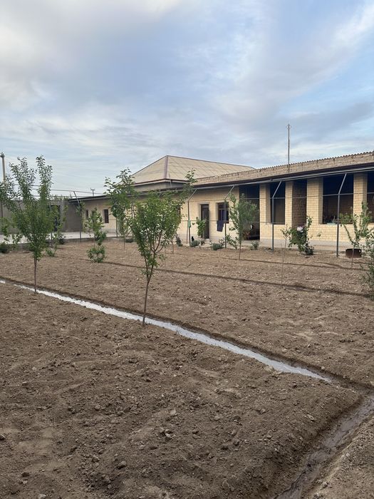 Zamonaviy Hovli sotiladi