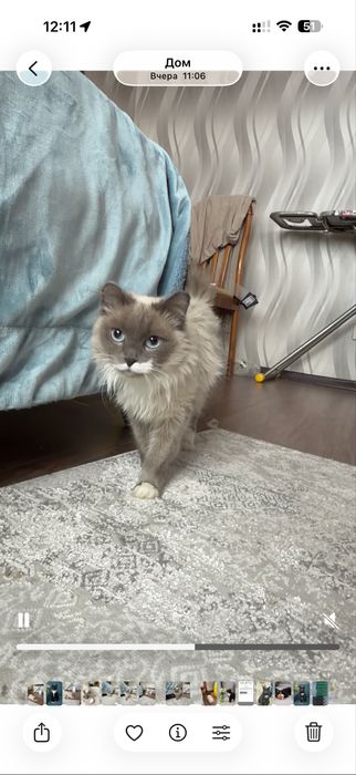 Пудра ищет семью. 8 месяцеы