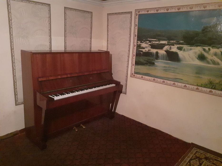 Pinina Belarusiya holati yahshi sotamz