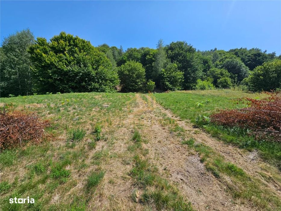 Alzza Real Estate – Teren intravilan de vanzare in Salicea, Cluj – 117