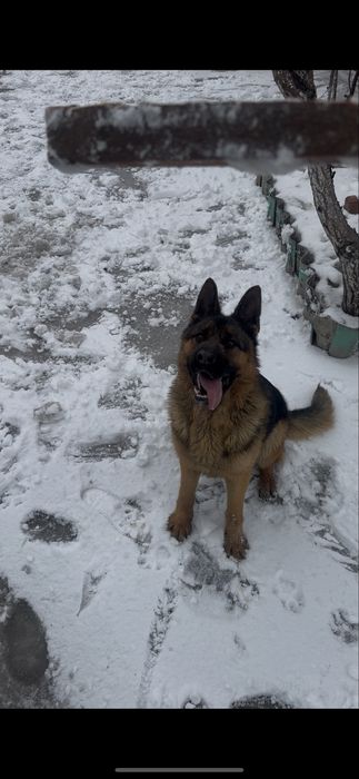 продажа или обмен