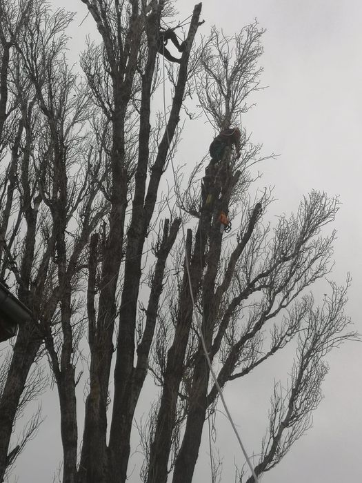 Alpinist utilitar izolatii exterioare cu polistiren