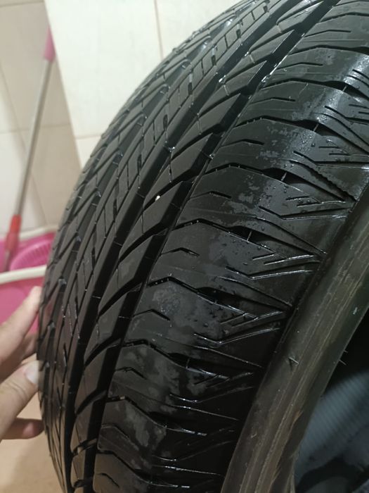 Шины Bridgestone Ecopia