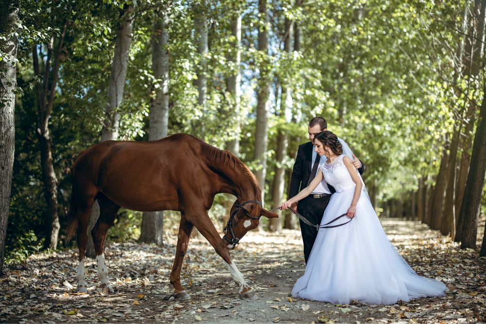 Фотограф Пловдив, Сливен, Бургас, Карлово