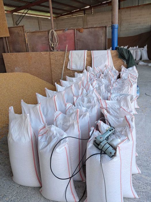 Porumb,orz  si tărâțe de ungaria