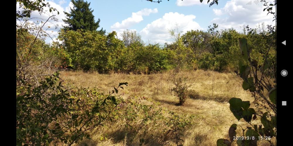 Продава се Парцел в Казанлък - 800 кв.м за 14 €/кв.м - Снимка #2