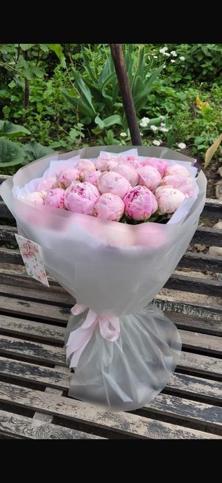Пионы майские шикарные