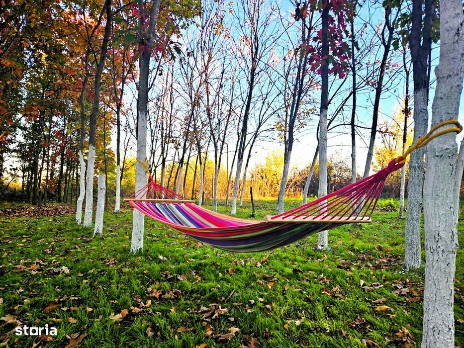 Teren de închiriat in Cartierul Pădurea Băneasa, Sector 1, București