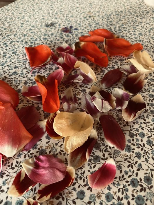 Кожено кресло подарявам