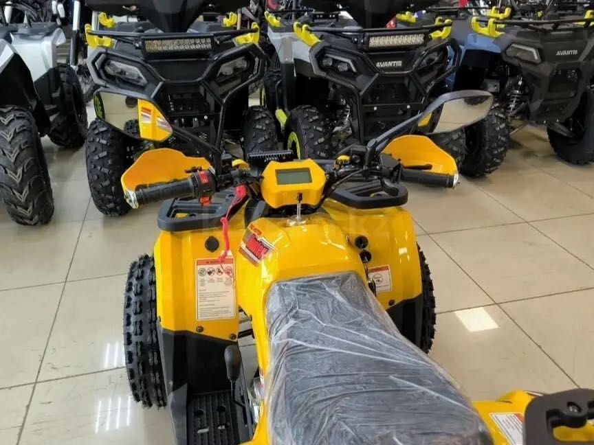 Avantis Hunter 8 New Premium