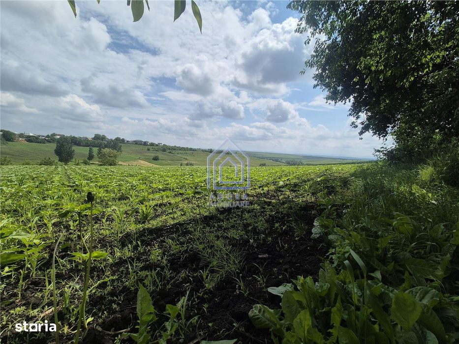 Teren intravilan Moara Nica - zona Scolii