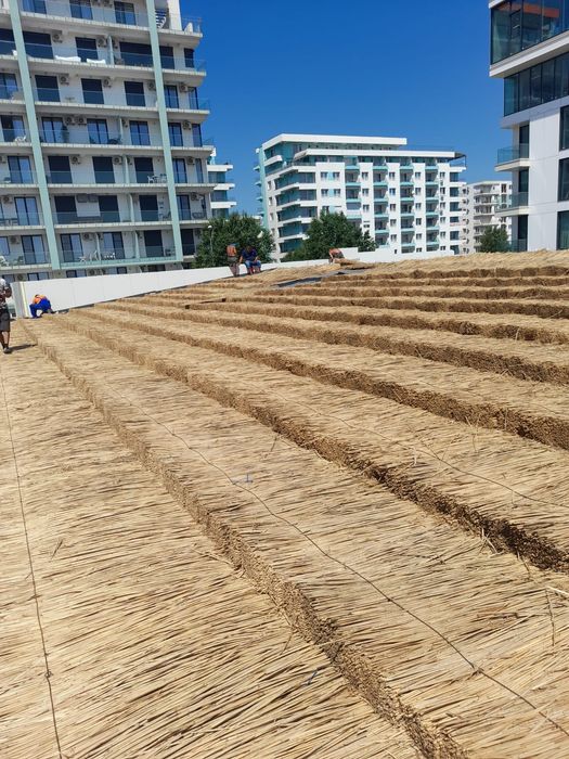 Vand stuf de anu asta