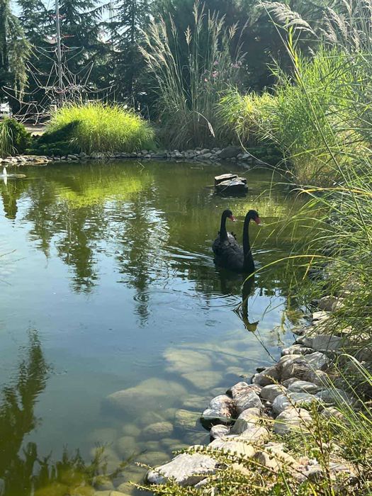 Продава се Двустаен апартамент в Варна, Централна поща - 61 кв.м за 1558 €/кв.м - Снимка #1