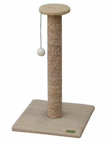 Когтеточка для кошек