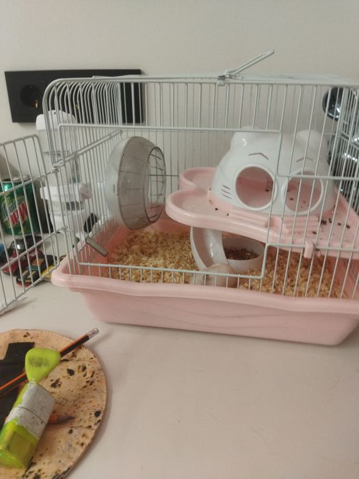 продам хомяка в добрые руки к деткам