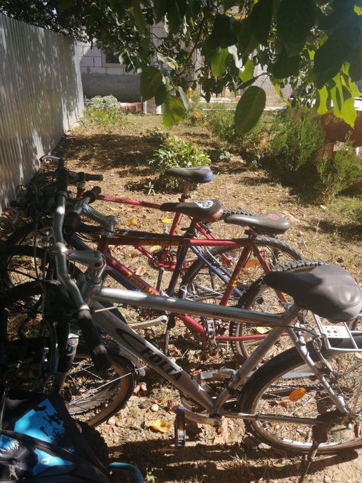 Biciclete de vanzare
