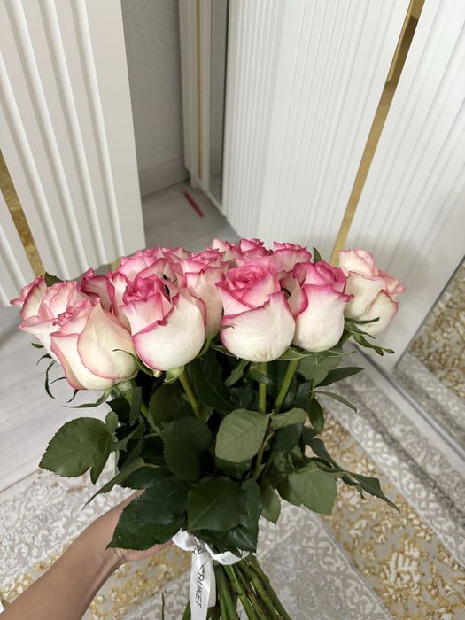 Цветы розы свежие