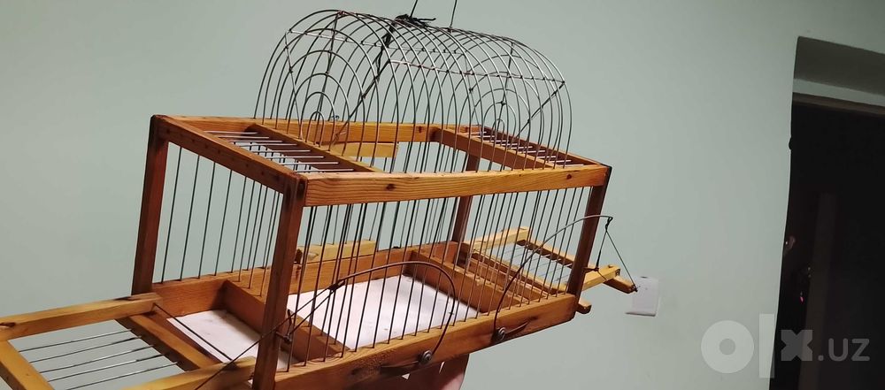 Западок для ловли птиц, Ловушка певчих лесных птиц.