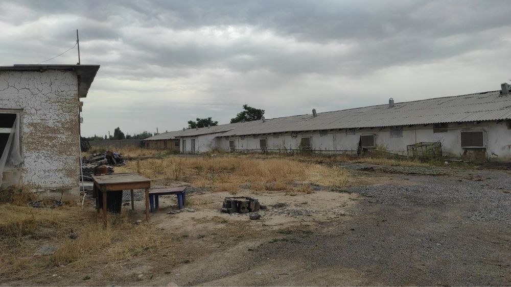 Янги Тошкент териториясига кирган 1-боскичдаги ер сотилади