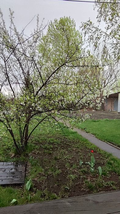 Продам дачу с выходом на воду .