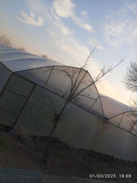 Parnik issiqxona sotiladi