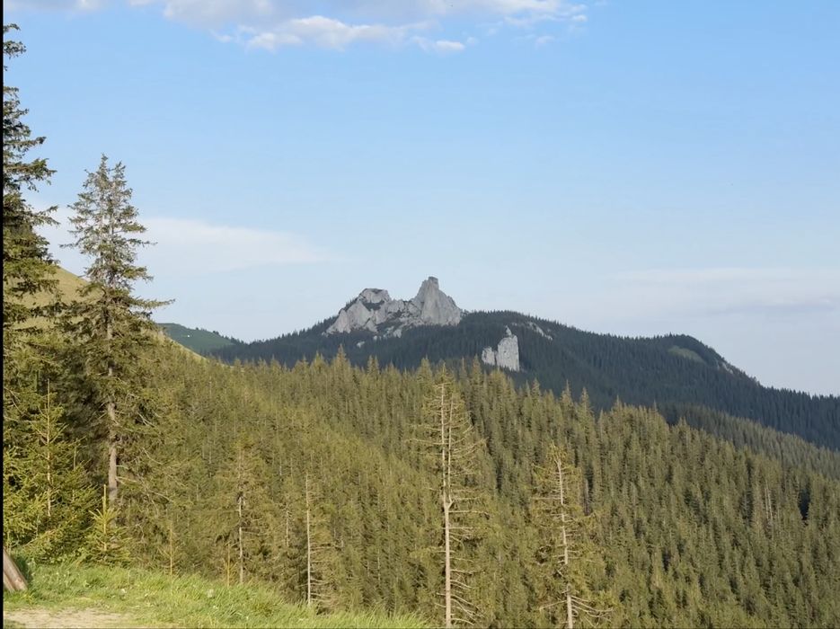 Editare foto-video la prețuri accesibile!