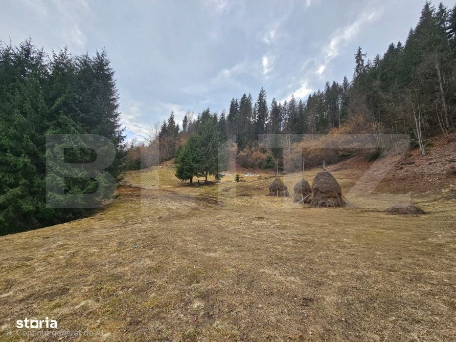 Teren extravilan 11.480 mp cu potential intravilan – Trancesti, Scar