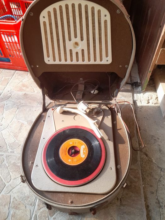 Pikupuri import germania