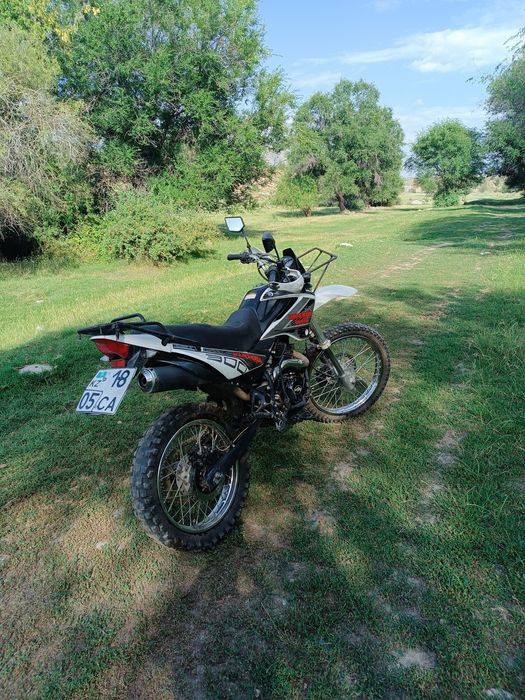 Рейсер пантера 300