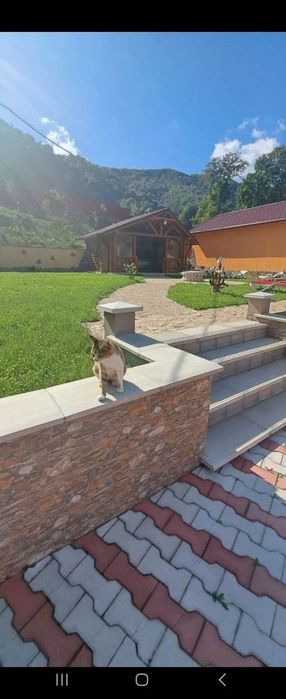 Casa de Vanzare 150+ mp utili | 4800 mp teren | munte | Comision 0%