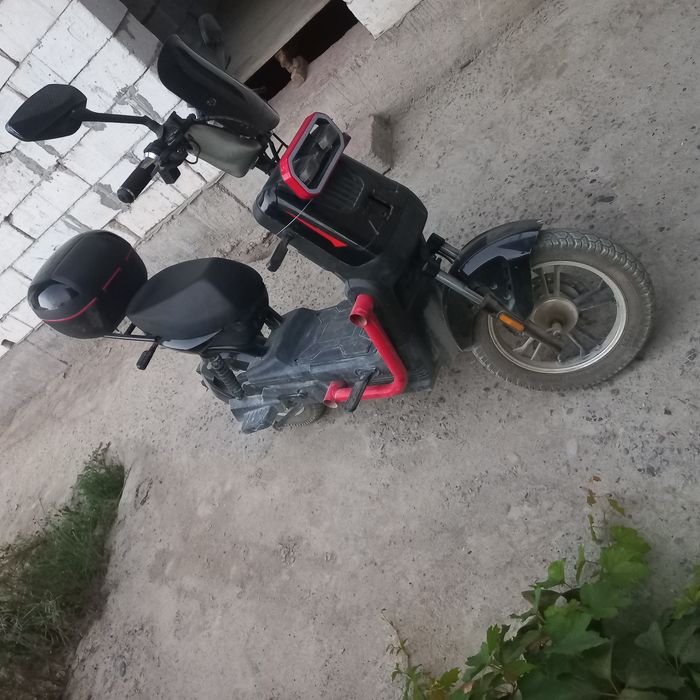 sukuter dugali yaxshi xolat