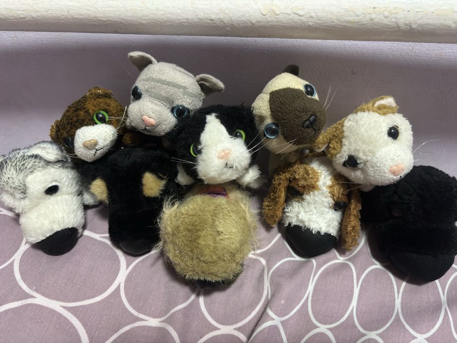 Котята и щенята игрушки