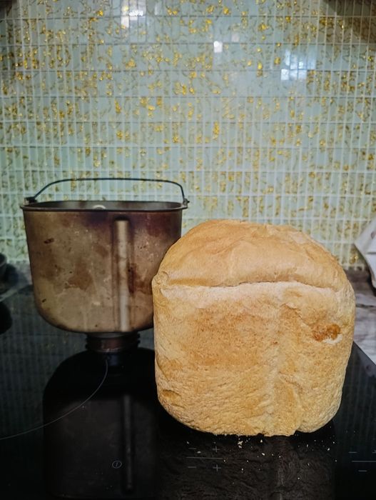 Хлебопечь Panasonic SD 254