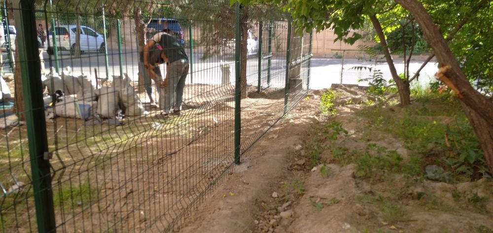 3D Setkalar eng arzon narxlarda